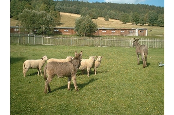 Pension de famille Heřmanovice 4